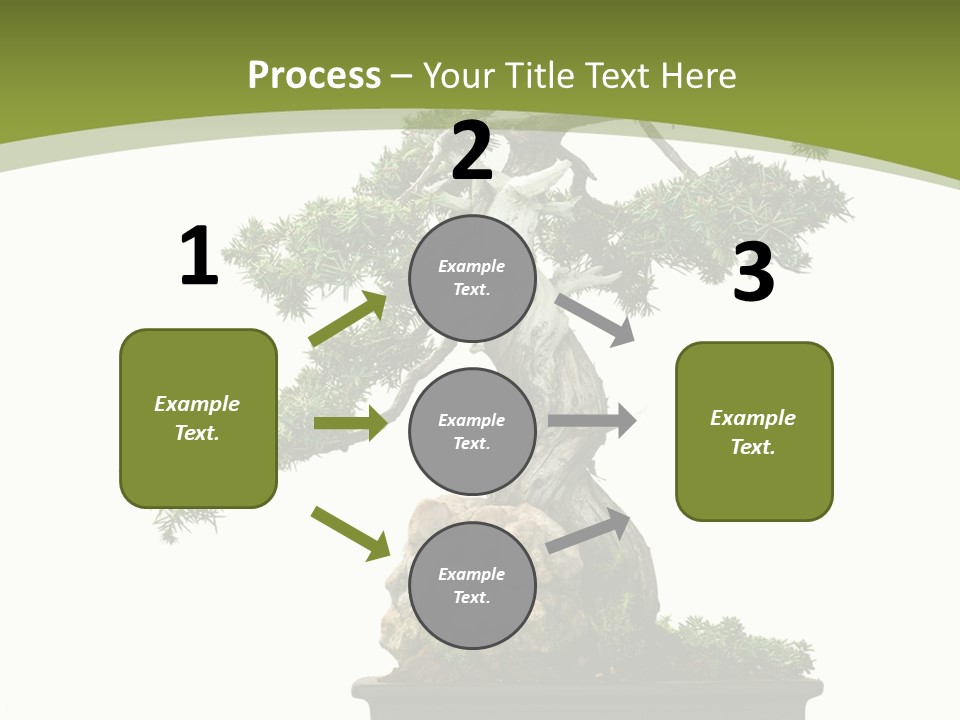 Background Plant Overlay PowerPoint Template