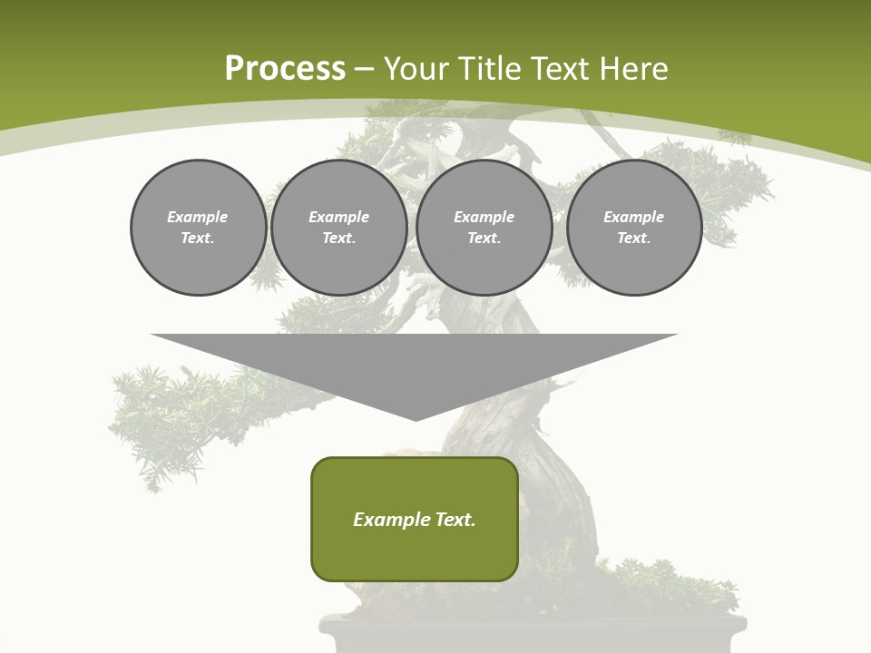 Background Plant Overlay PowerPoint Template