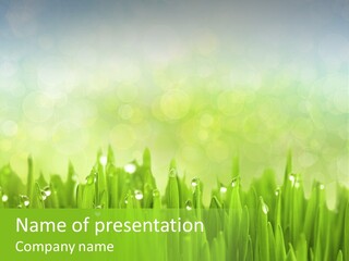 Lawn Morning Flora PowerPoint Template