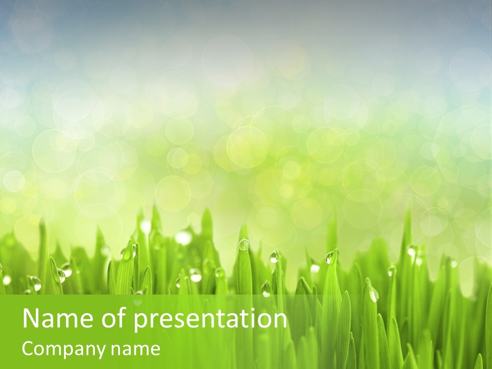 Lawn Morning Flora PowerPoint Template