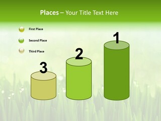 Lawn Morning Flora PowerPoint Template