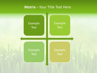 Lawn Morning Flora PowerPoint Template