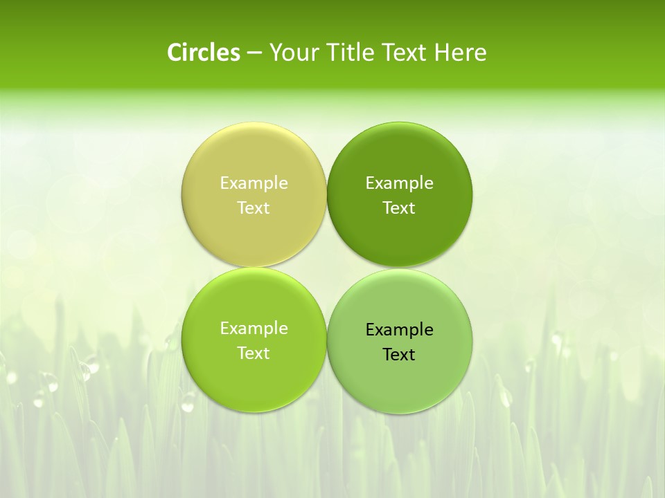 Lawn Morning Flora PowerPoint Template
