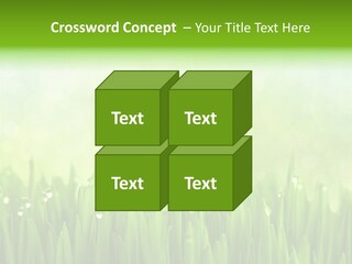 Lawn Morning Flora PowerPoint Template