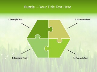 Lawn Morning Flora PowerPoint Template