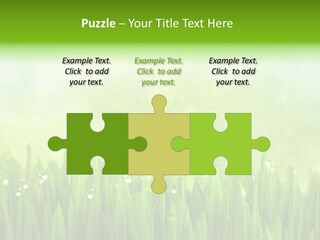 Lawn Morning Flora PowerPoint Template