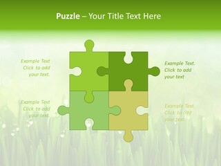 Lawn Morning Flora PowerPoint Template