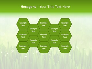 Lawn Morning Flora PowerPoint Template