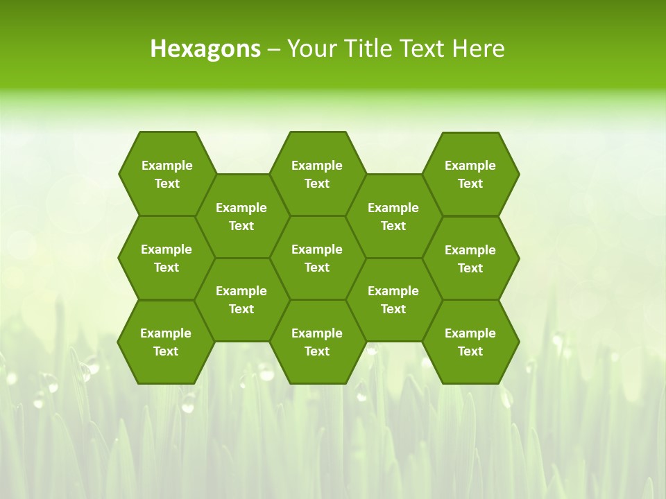 Lawn Morning Flora PowerPoint Template