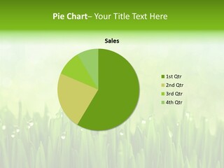 Lawn Morning Flora PowerPoint Template