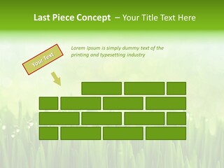 Lawn Morning Flora PowerPoint Template