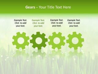 Lawn Morning Flora PowerPoint Template