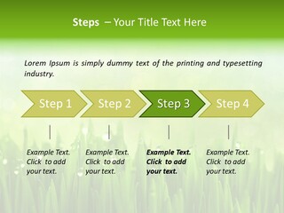 Lawn Morning Flora PowerPoint Template
