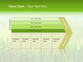 Lawn Morning Flora PowerPoint Template