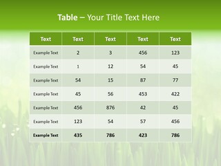 Lawn Morning Flora PowerPoint Template