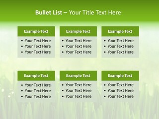 Lawn Morning Flora PowerPoint Template