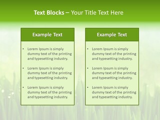 Lawn Morning Flora PowerPoint Template