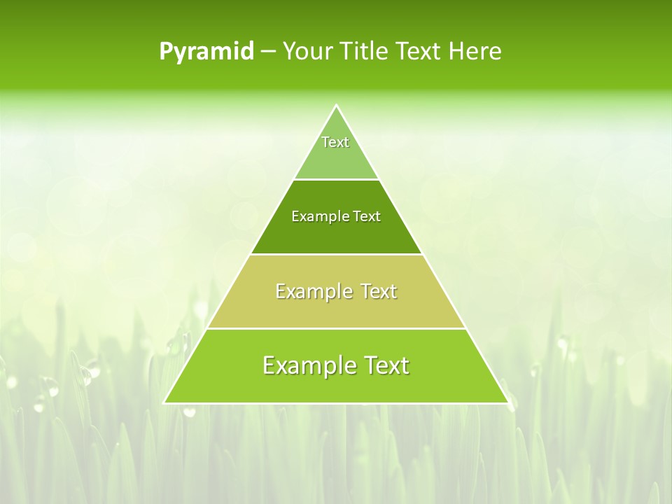 Lawn Morning Flora PowerPoint Template