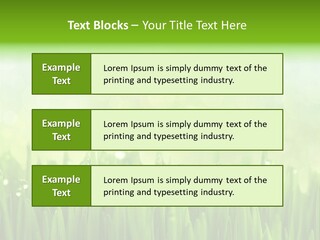 Lawn Morning Flora PowerPoint Template