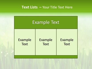 Lawn Morning Flora PowerPoint Template