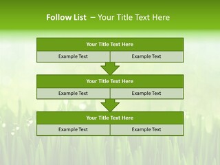 Lawn Morning Flora PowerPoint Template
