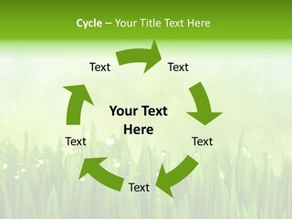 Lawn Morning Flora PowerPoint Template