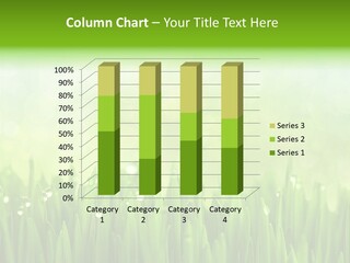 Lawn Morning Flora PowerPoint Template