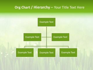 Lawn Morning Flora PowerPoint Template