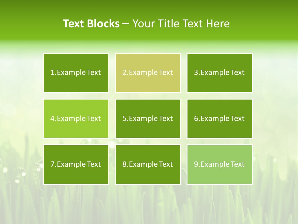 Lawn Morning Flora PowerPoint Template