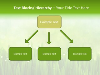 Lawn Morning Flora PowerPoint Template