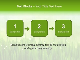 Lawn Morning Flora PowerPoint Template