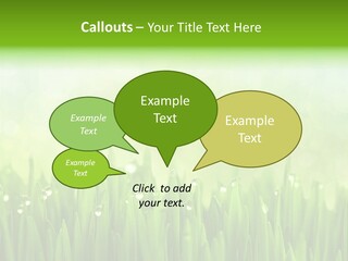 Lawn Morning Flora PowerPoint Template