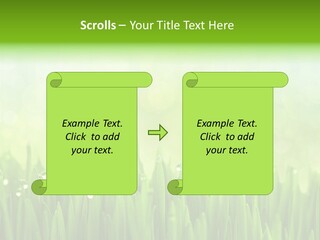 Lawn Morning Flora PowerPoint Template