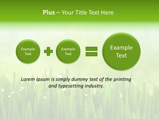 Lawn Morning Flora PowerPoint Template