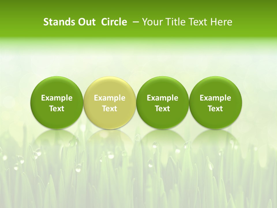 Lawn Morning Flora PowerPoint Template