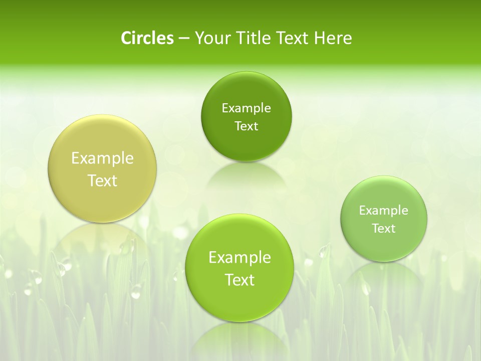 Lawn Morning Flora PowerPoint Template