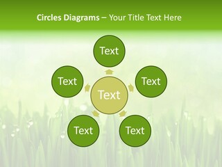 Lawn Morning Flora PowerPoint Template