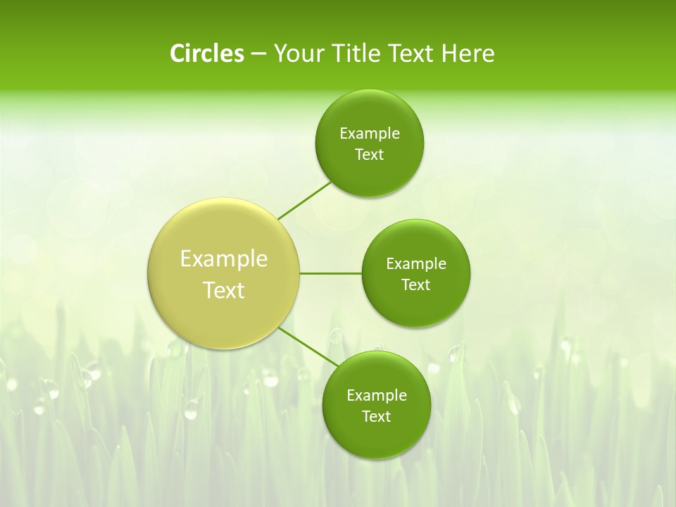 Lawn Morning Flora PowerPoint Template