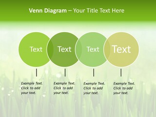 Lawn Morning Flora PowerPoint Template