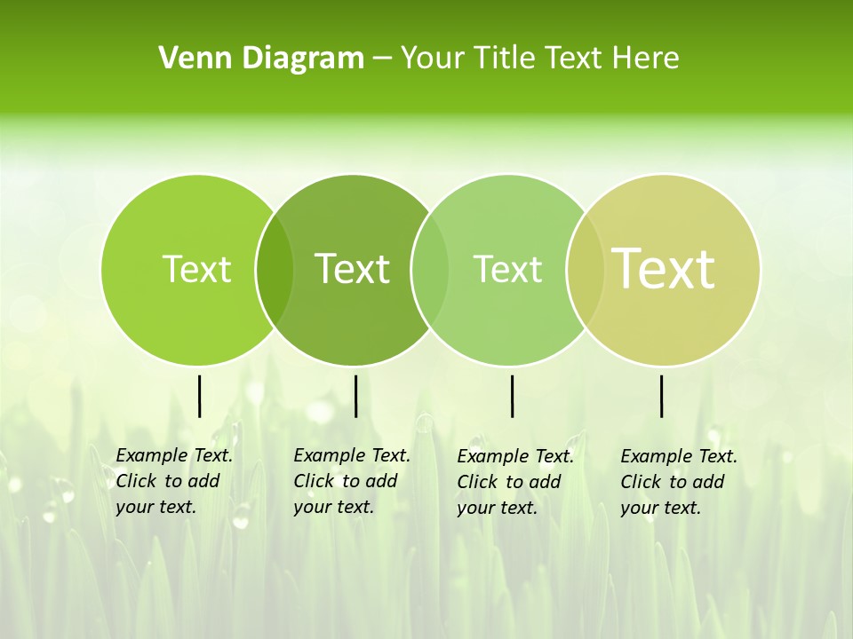 Lawn Morning Flora PowerPoint Template