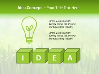 Lawn Morning Flora PowerPoint Template