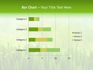 Lawn Morning Flora PowerPoint Template