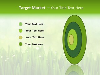 Lawn Morning Flora PowerPoint Template