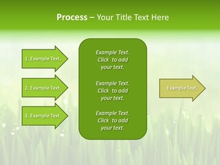 Lawn Morning Flora PowerPoint Template