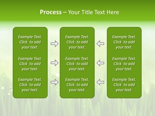 Lawn Morning Flora PowerPoint Template