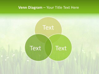 Lawn Morning Flora PowerPoint Template