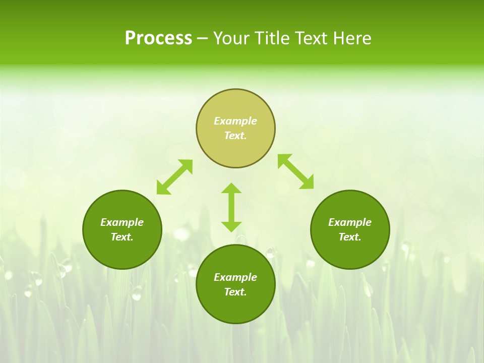 Lawn Morning Flora PowerPoint Template