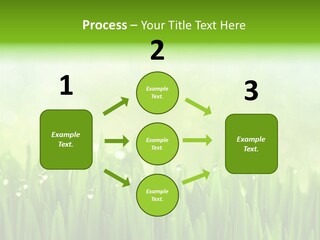 Lawn Morning Flora PowerPoint Template