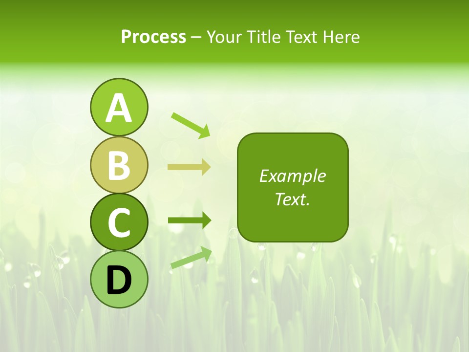 Lawn Morning Flora PowerPoint Template
