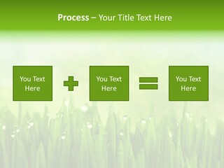 Lawn Morning Flora PowerPoint Template